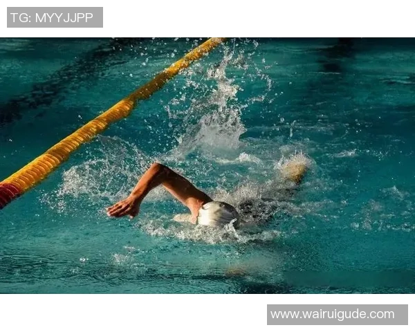 泳姿种类解析与技巧分享：探索自由泳、仰泳、蛙泳、蝶泳的独特魅力