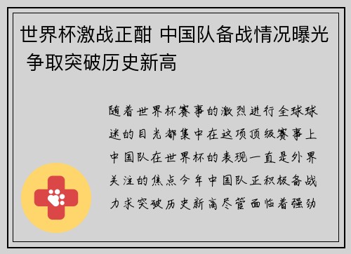 世界杯激战正酣 中国队备战情况曝光 争取突破历史新高