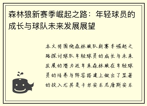 森林狼新赛季崛起之路：年轻球员的成长与球队未来发展展望