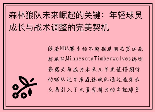 森林狼队未来崛起的关键：年轻球员成长与战术调整的完美契机